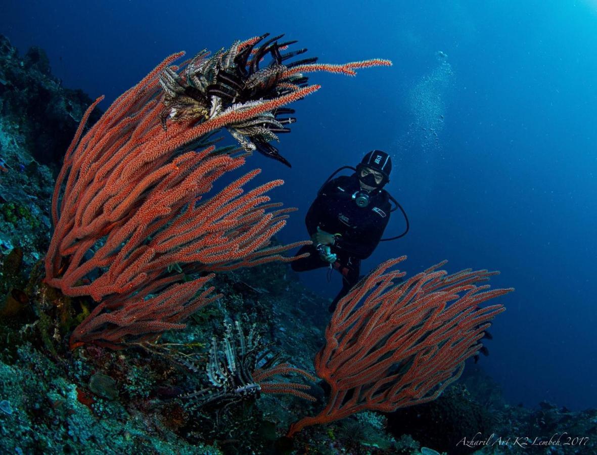 K2 Lembeh Dive Resort Bitung ภายนอก รูปภาพ